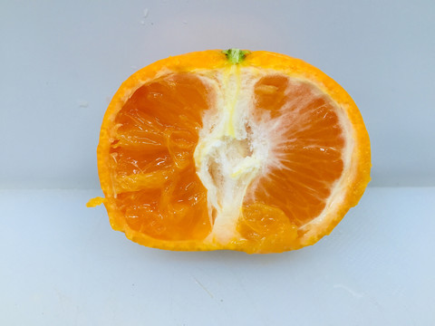 南非柑