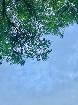 初夏天空