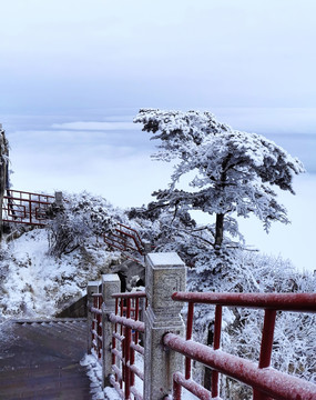 雪山树