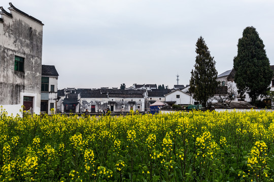 杭州新叶古村