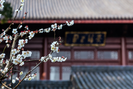 杭州永福寺