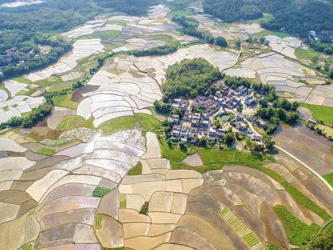 梯田