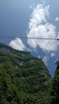 三峡竹海