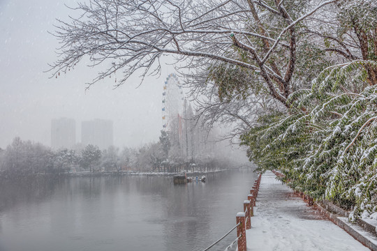 合肥杏花公园木栈桥雪景