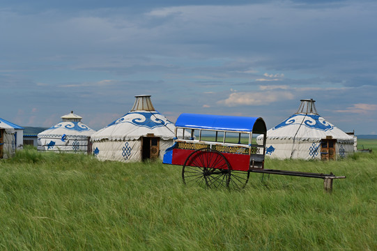 内蒙古在草原
