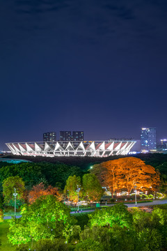 佛山世纪莲体育馆夜景