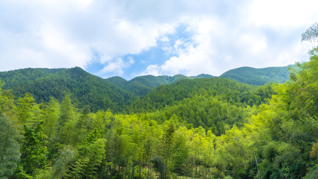 起伏的群山