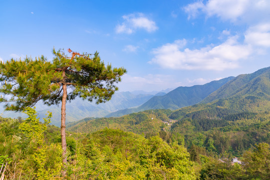 起伏的群山