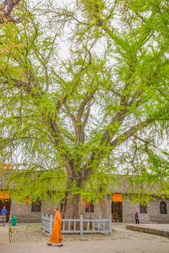 寿县报恩寺