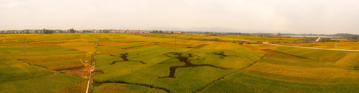 花山田园