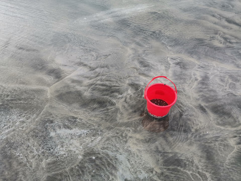 湿沙滩里的红色小桶