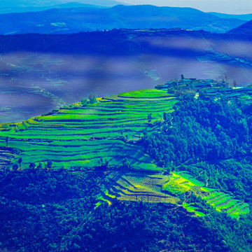 云南罗平翠绿山村