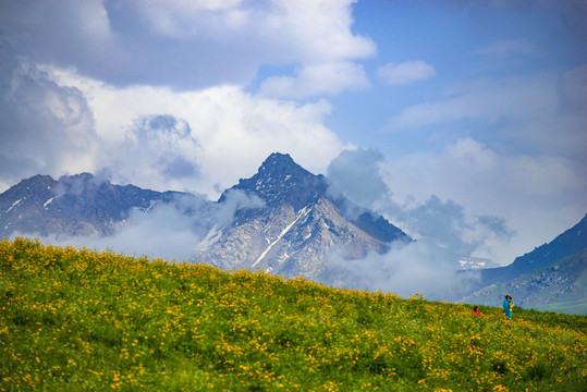 新疆伊犁白天风景