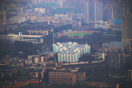 清晨雾中的城市