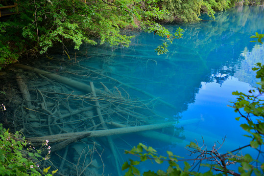 九寨沟秋色水里景