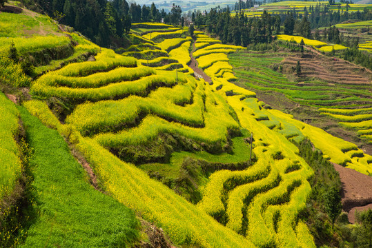 山区春色