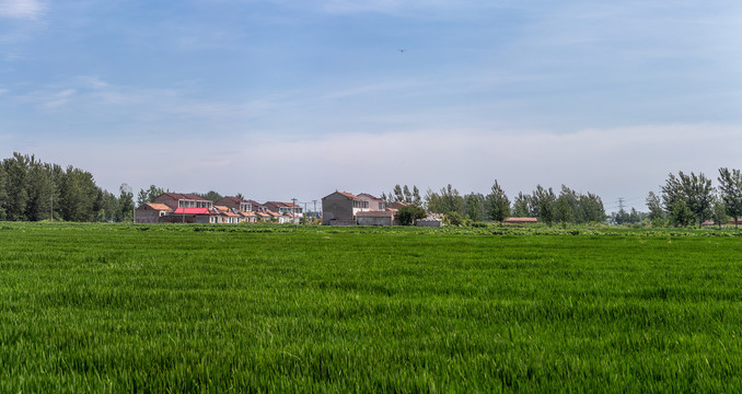 乡村振兴