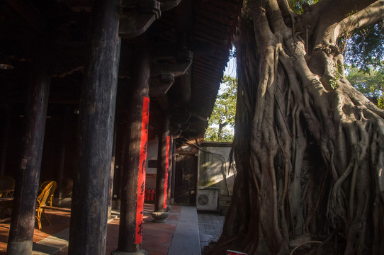 文庄蔡公祠宅院