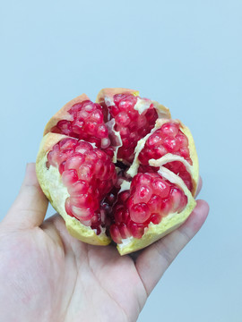 突尼斯石榴