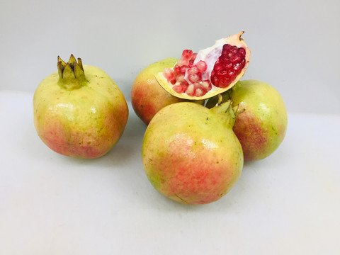 突尼斯石榴