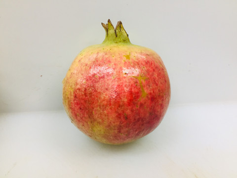 突尼斯石榴