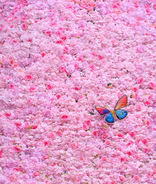 花卉装饰