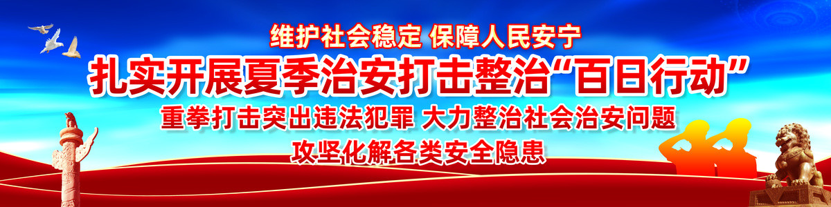 夏季治安打击整治百日行动