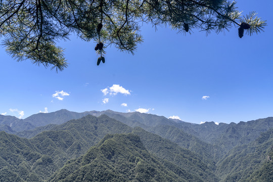 秦岭太白山