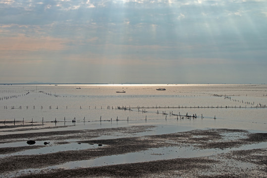 海边滩涂