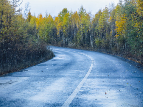 秋季森林公路