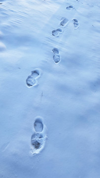 雪地里的脚印