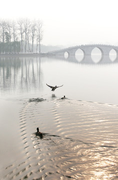 湖景