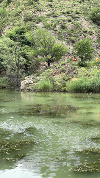 山泉河流