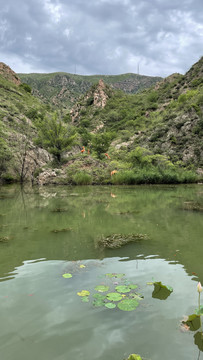 山泉河流