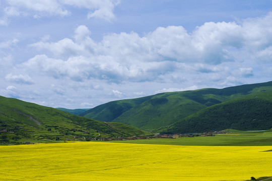 川西阿坝自然风光