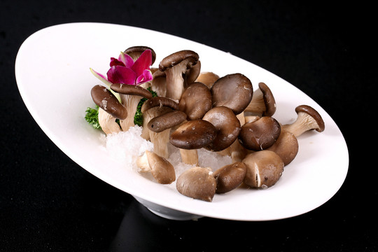 菌菇