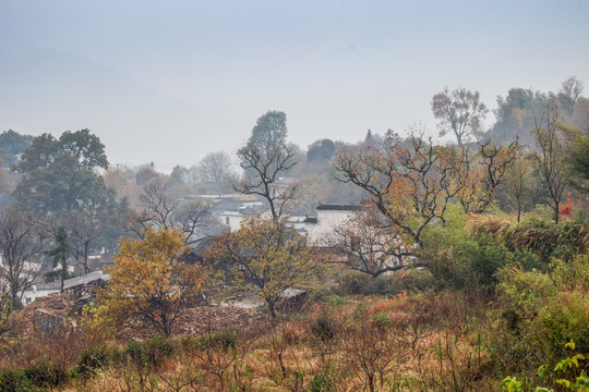 塔川村