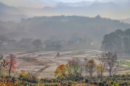 塔川村