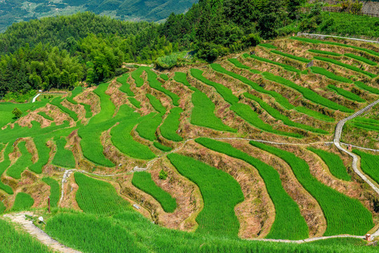 云和梯田