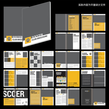 项目画册cdr设计模板
