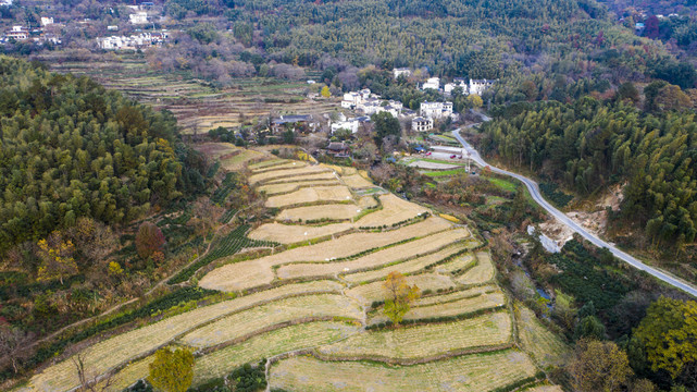 山村田园