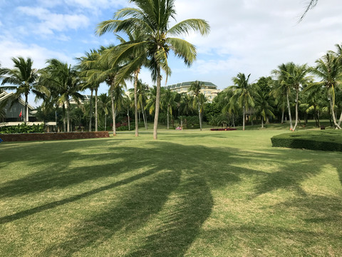 海南风光热带植物园林