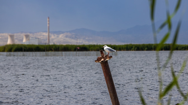新疆莲花湖