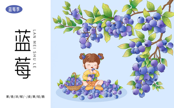 蓝莓水果包装插画