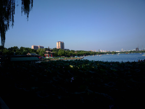 大明湖风景