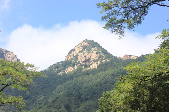 泰山风景