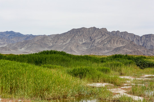新疆戈壁湿地