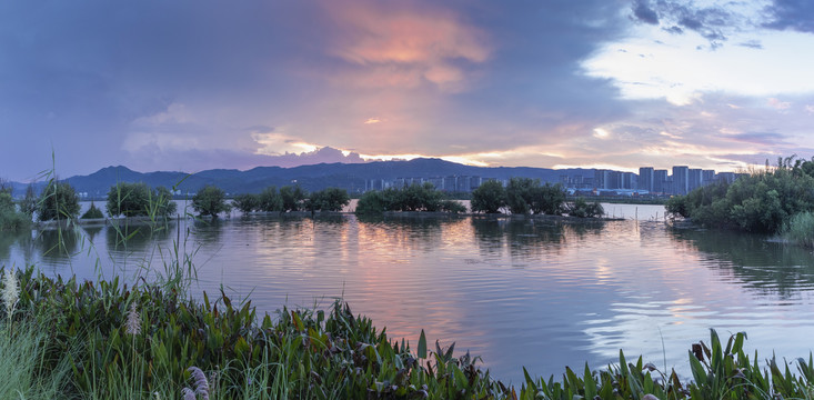 云南昆明滇池草海坝河湿地风景