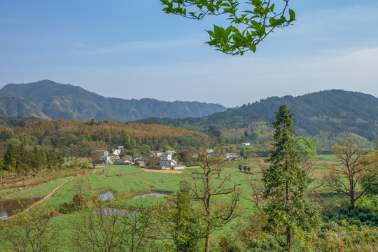 塔川村