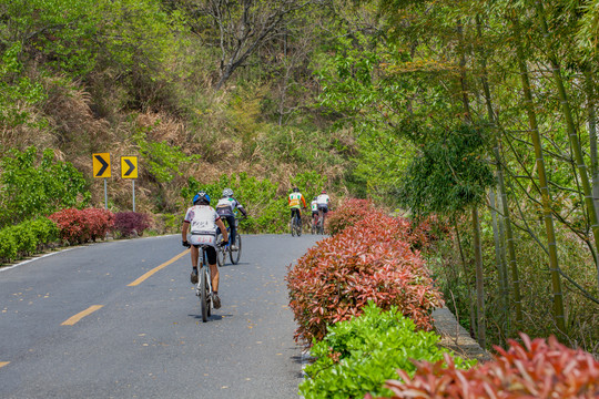 塔川村村外公路